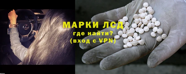 прущие грибы Белокуриха