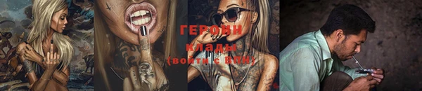 прущие грибы Белокуриха