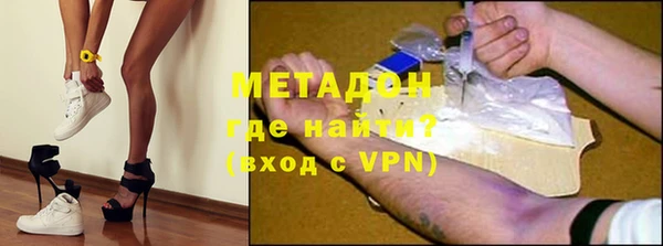 прущие грибы Белокуриха