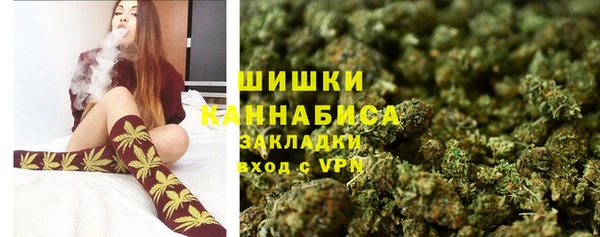 прущие грибы Белокуриха