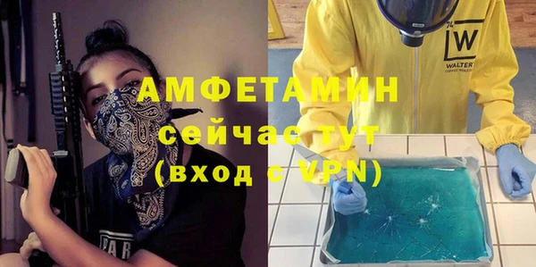 прущие грибы Белокуриха