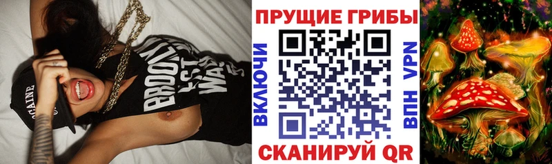 Псилоцибиновые грибы Psilocybe МЕГА ссылка Володарск