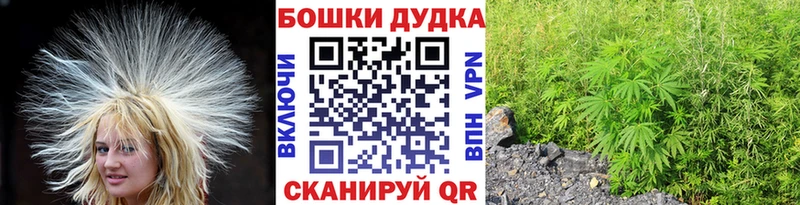 Бошки марихуана White Widow  купить наркотики сайты  Володарск 